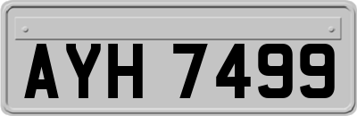AYH7499