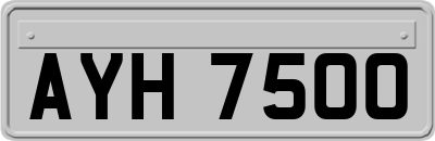 AYH7500