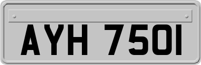 AYH7501