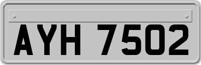 AYH7502