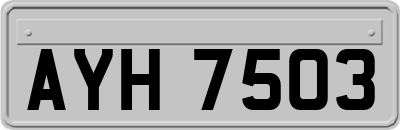 AYH7503