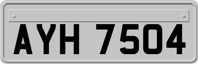AYH7504