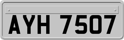 AYH7507
