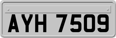 AYH7509