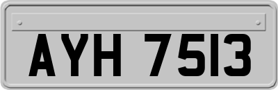 AYH7513