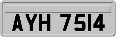 AYH7514