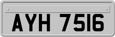 AYH7516