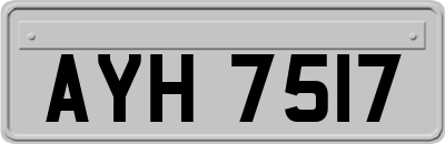 AYH7517