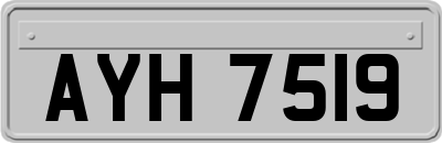 AYH7519