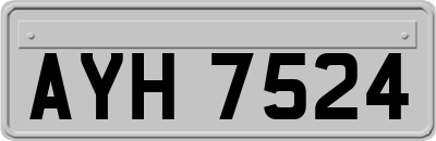 AYH7524