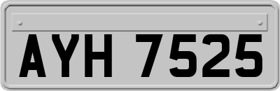 AYH7525