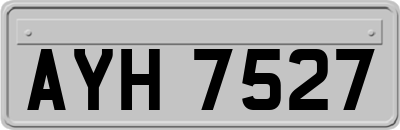 AYH7527