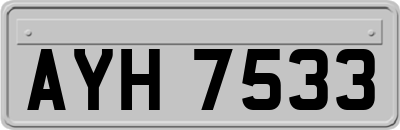 AYH7533
