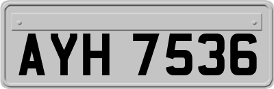 AYH7536