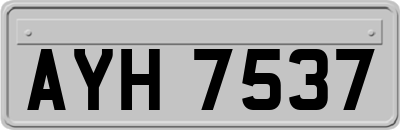 AYH7537