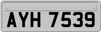 AYH7539