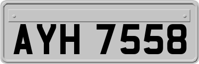 AYH7558