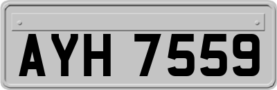 AYH7559