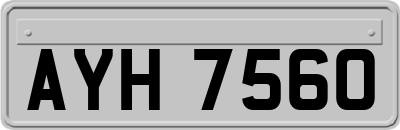 AYH7560