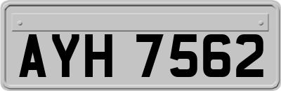 AYH7562