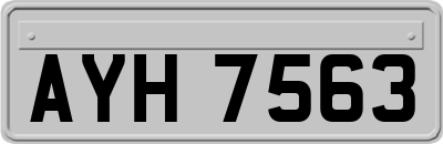 AYH7563