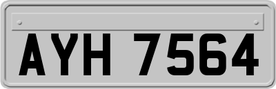 AYH7564
