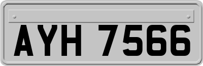 AYH7566