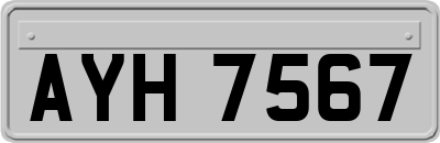AYH7567