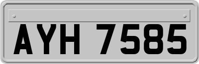 AYH7585