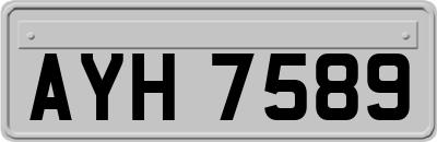 AYH7589