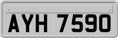 AYH7590