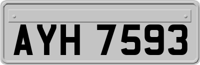 AYH7593