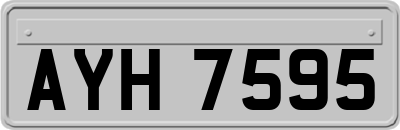 AYH7595