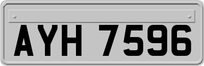 AYH7596