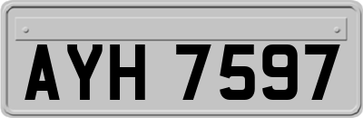 AYH7597