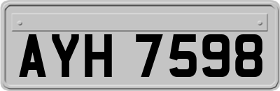 AYH7598