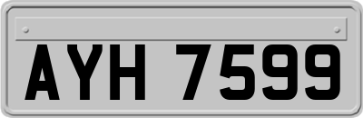 AYH7599
