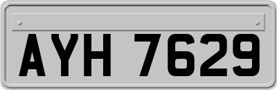 AYH7629