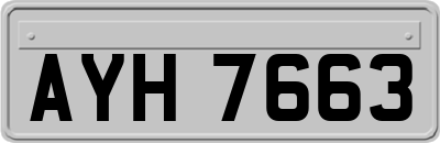 AYH7663
