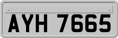 AYH7665