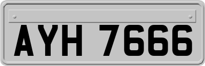 AYH7666