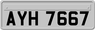 AYH7667