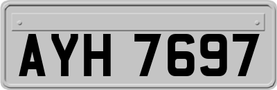AYH7697