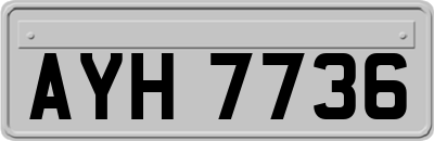 AYH7736