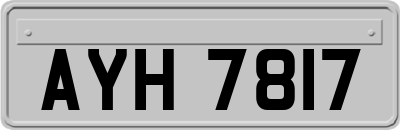 AYH7817
