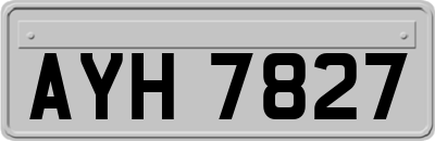 AYH7827