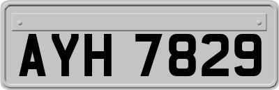 AYH7829