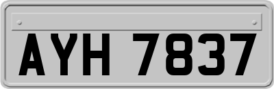 AYH7837