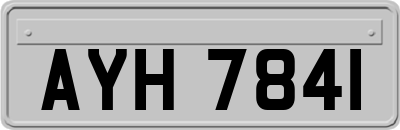 AYH7841