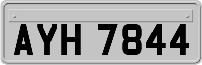 AYH7844